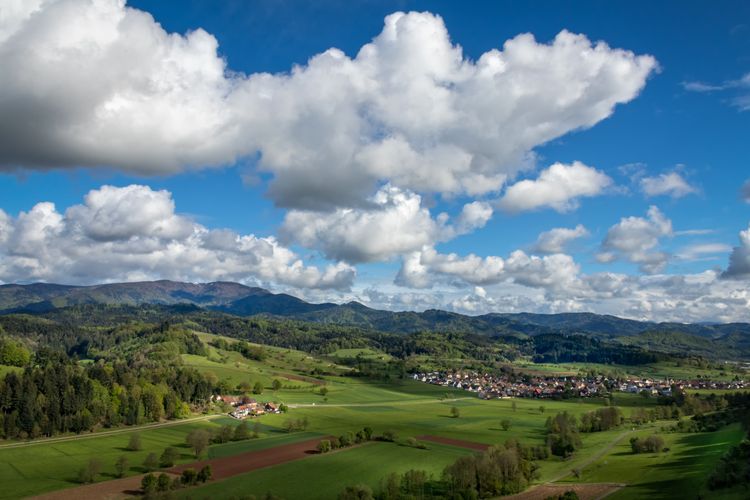 Grüne Landschaft mit Wiesen und Bäumen im Schwarzwald