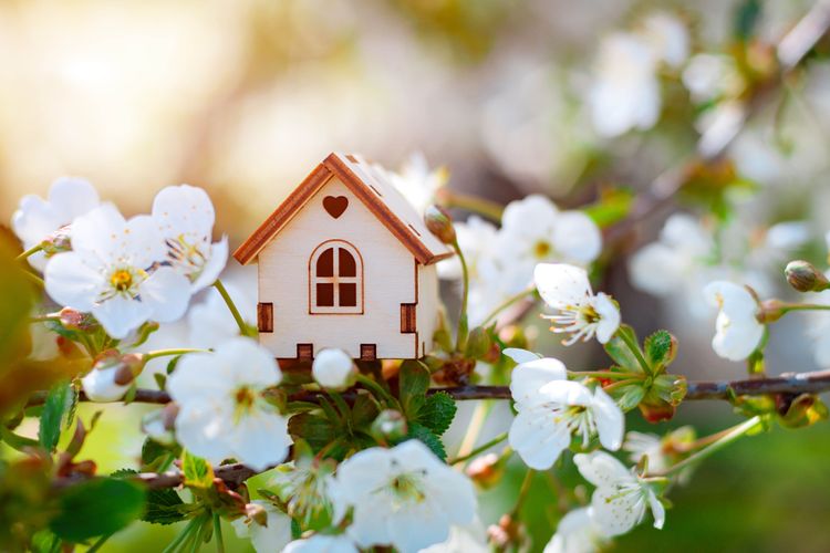 Miniaturhaus auf blühendem Ast